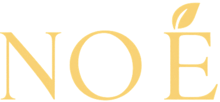 chatgpt image nov 10, 2025, 12 06 24 pm